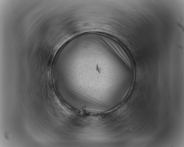 X0000101471513200807211325