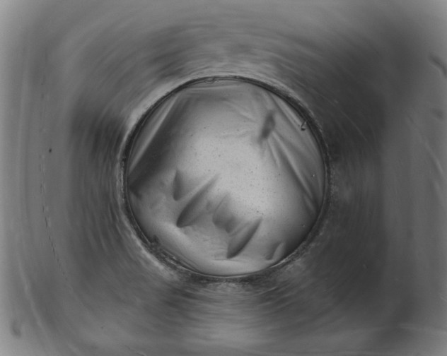 X0000101471517200807211325