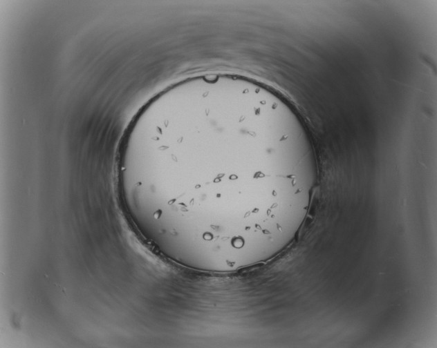 X0000101471518200807211325