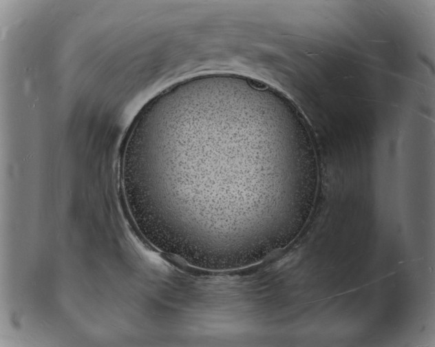 X0000101471519200807211325