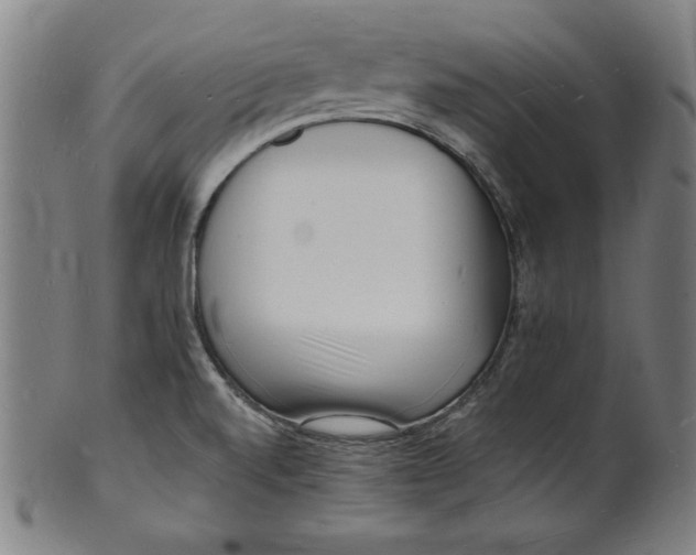 X0000101471520200807211325