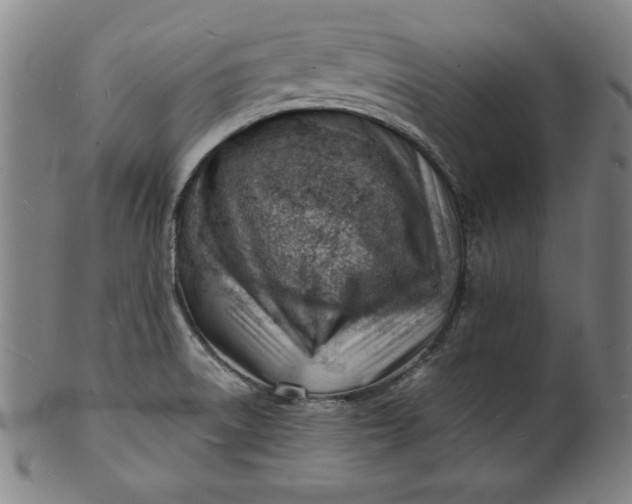 X0000101471522200807211325