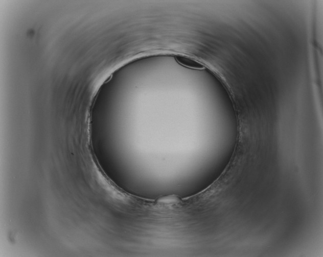 X0000101471524200807211325