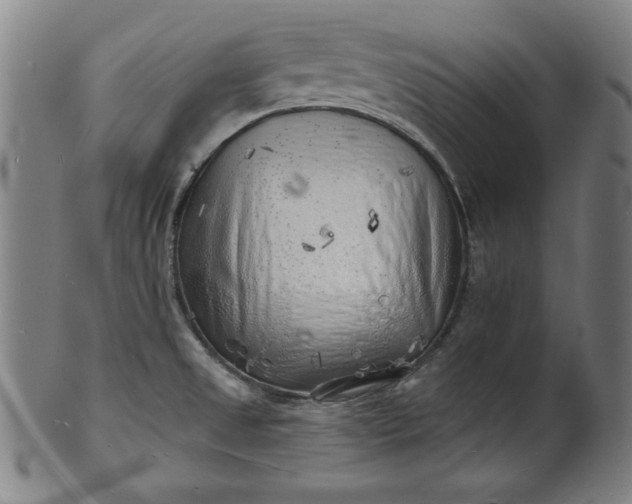 X0000101471525200807211325