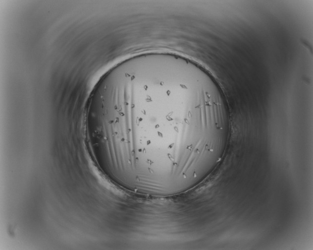 X0000101471526200807211325