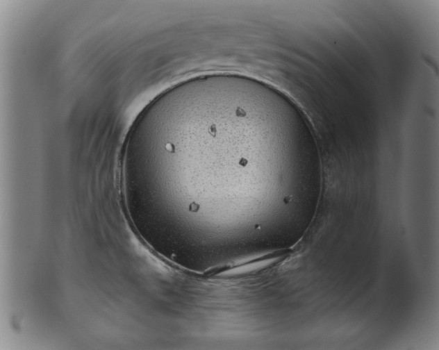 X0000101471527200807211325