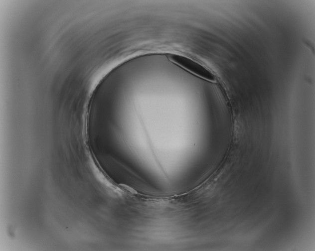 X0000101471528200807211325