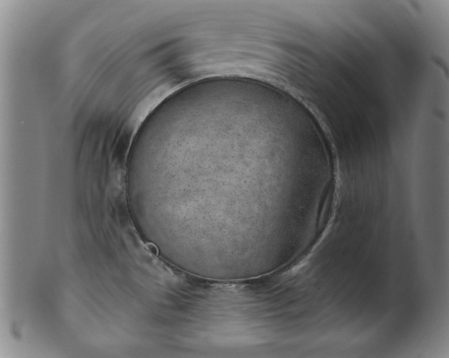 X0000101471529200807211325