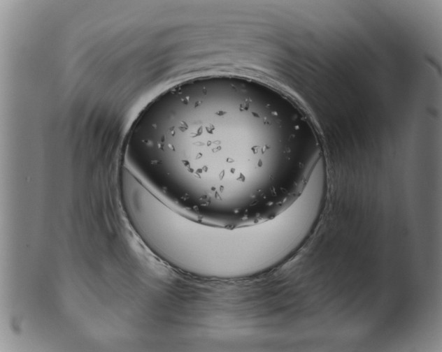 X0000101471530200807211325