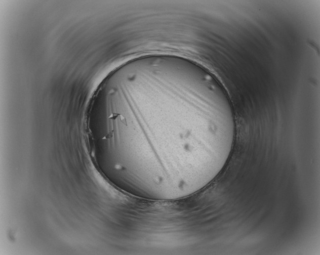 X0000101471531200807211325