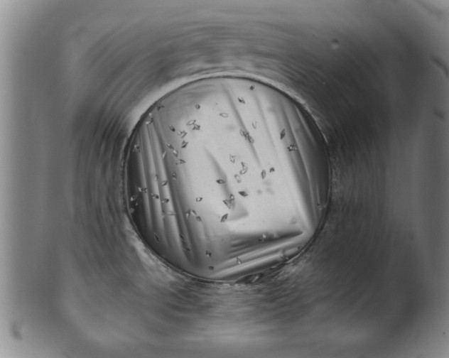 X0000101471534200807211325