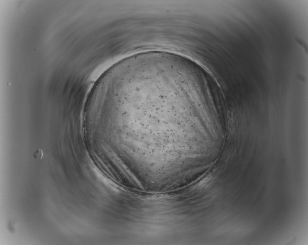 X0000101471535200807211325