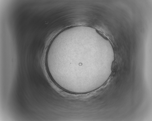 X0000101470001200807281029