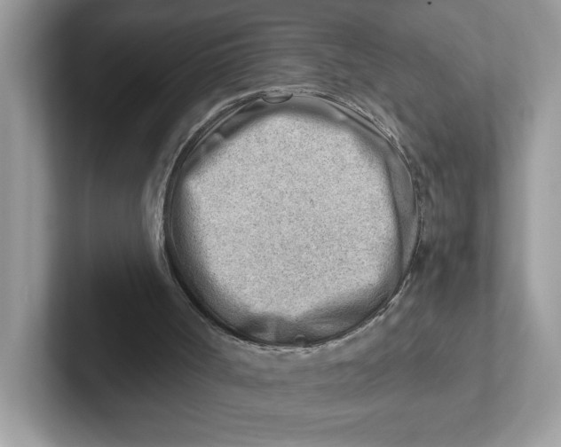 X0000101470002200807281029