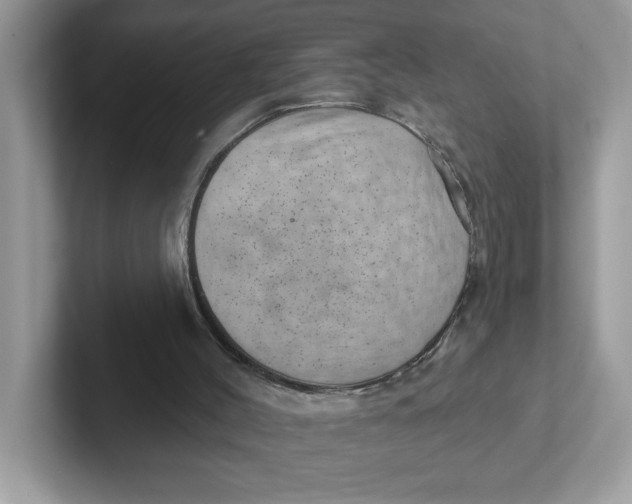 X0000101470004200807281029