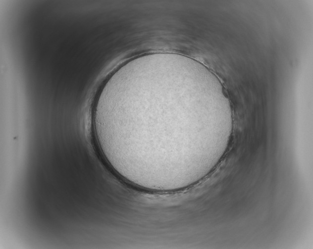 X0000101470005200807281029