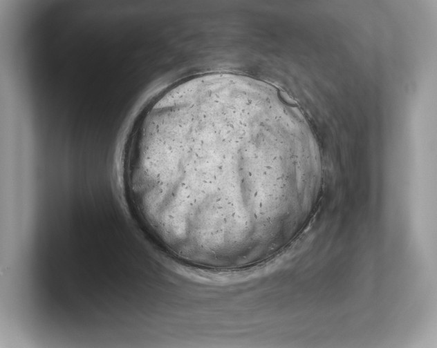 X0000101470006200807281029