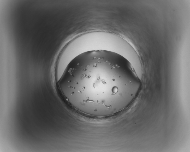 X0000101470008200807281028