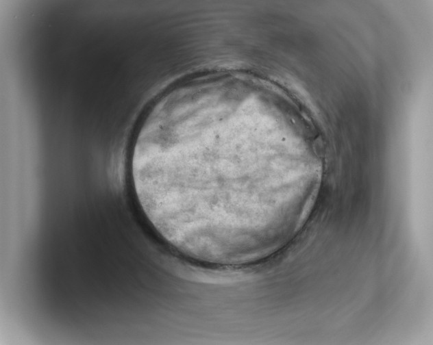 X0000101470012200807281028