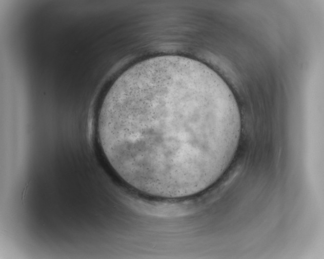 X0000101470016200807281028