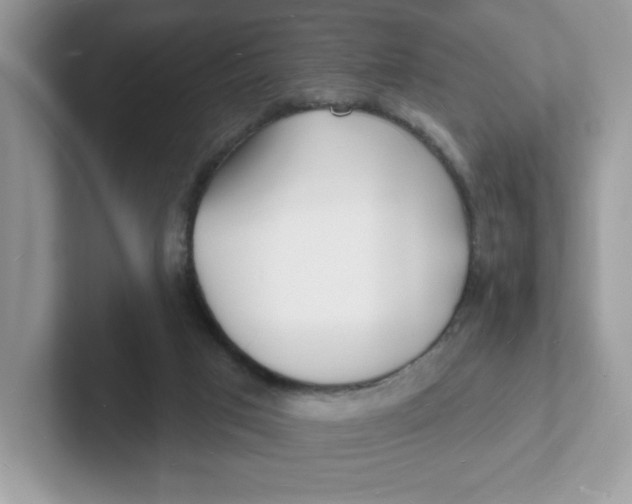 X0000101470017200807281028