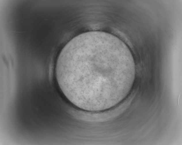 X0000101470018200807281028