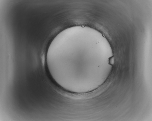 X0000101470019200807281028