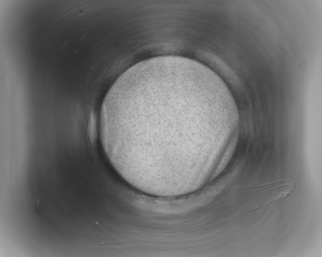 X0000101470022200807281028