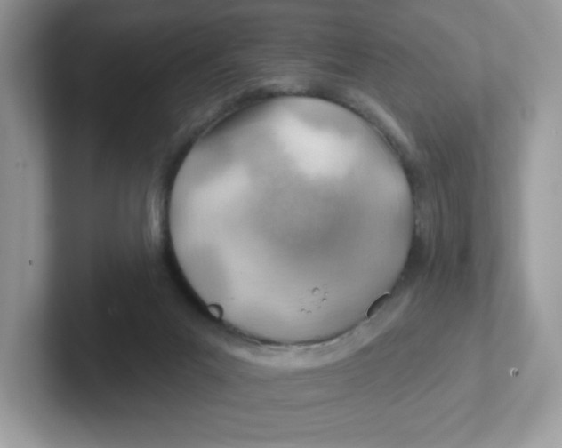 X0000101470023200807281028