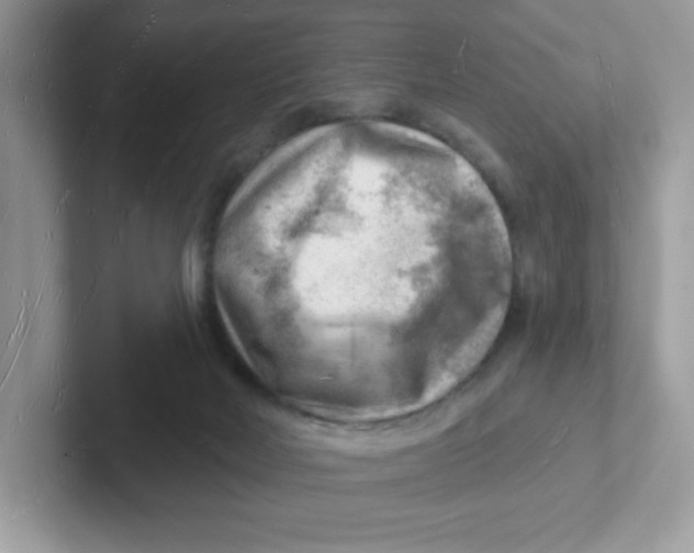 X0000101470026200807281028