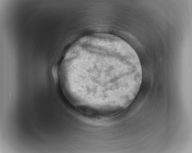 X0000101470028200807281028