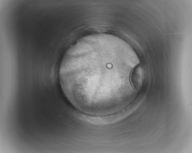 X0000101470030200807281028