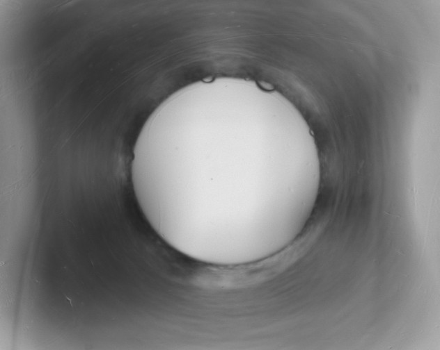 X0000101470033200807281028