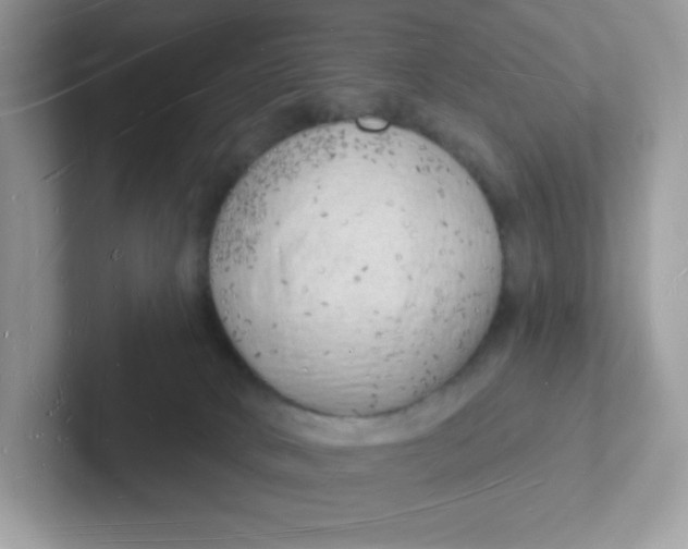 X0000101470034200807281028