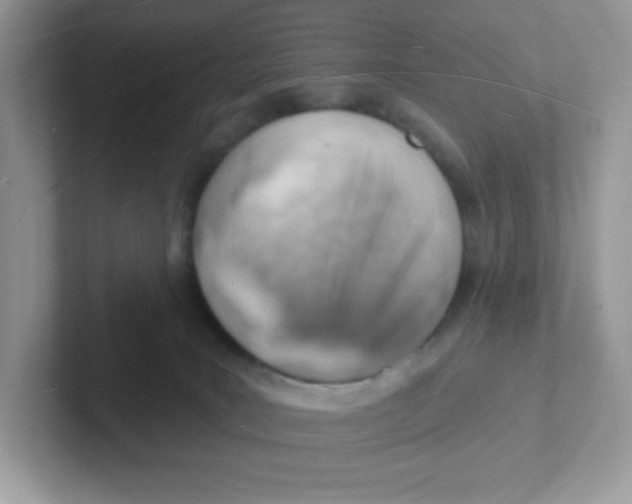 X0000101470035200807281028