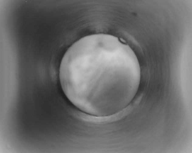 X0000101470039200807281028