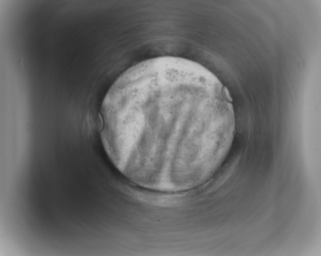 X0000101470040200807281028