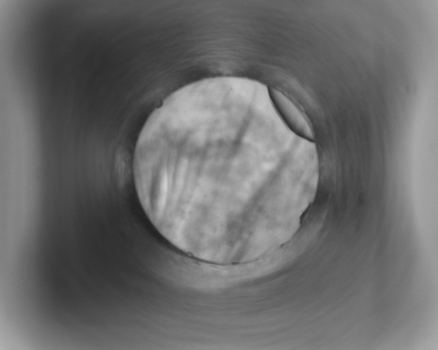 X0000101470043200807281028