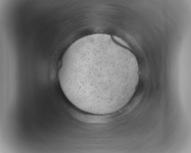 X0000101470044200807281028