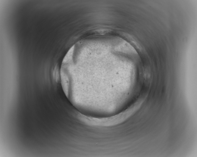 X0000101470046200807281028