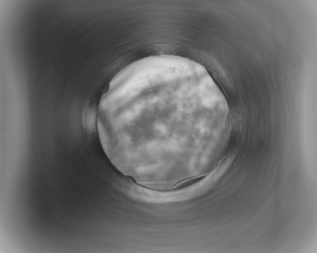 X0000101470047200807281028