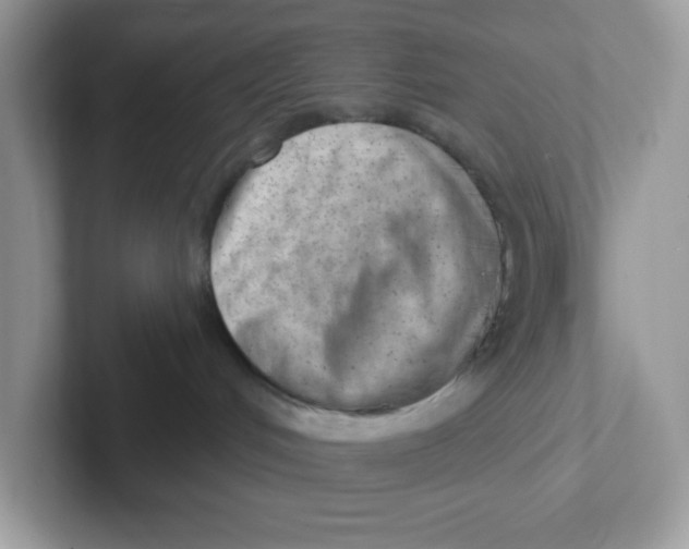 X0000101470048200807281028