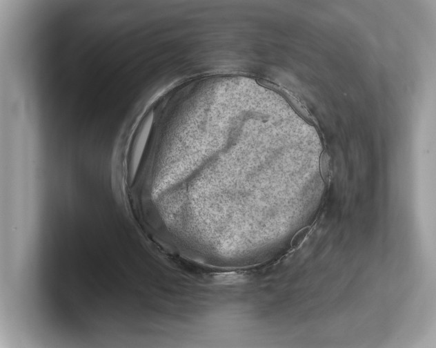 X0000101470050200807281027