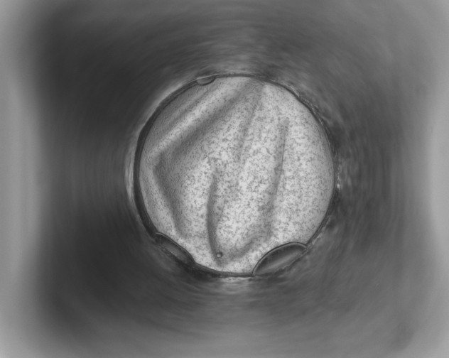 X0000101470052200807281027