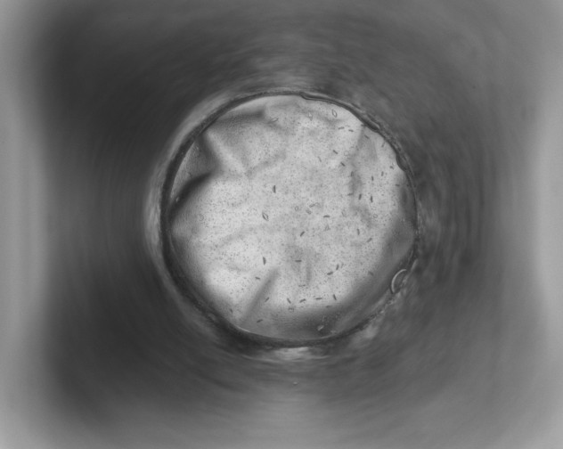 X0000101470054200807281027