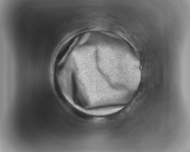 X0000101470055200807281027