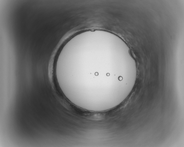 X0000101470056200807281027