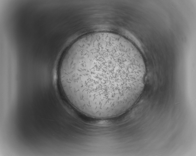 X0000101470059200807281027