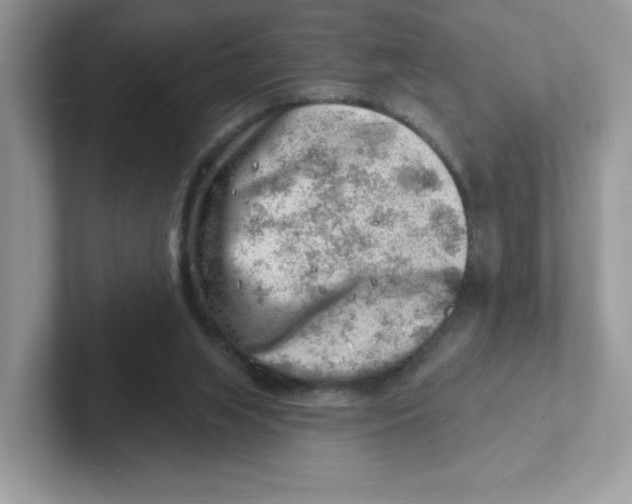 X0000101470063200807281028