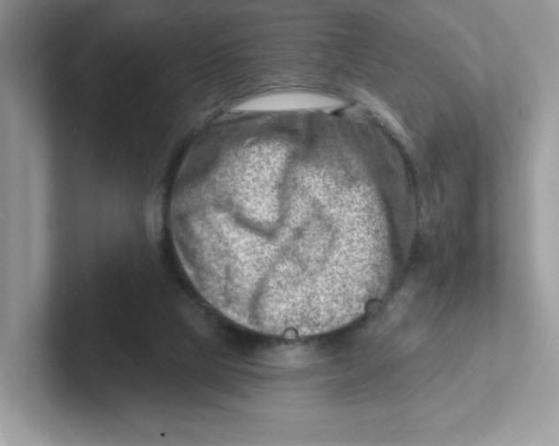 X0000101470065200807281028